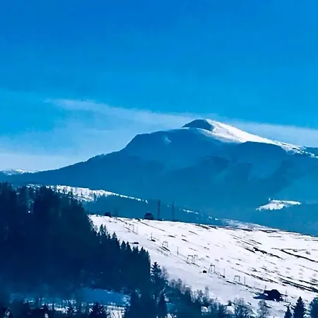 едельвейс-будапешт * Jasina