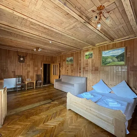 едельвейс-будапешт יאסינה